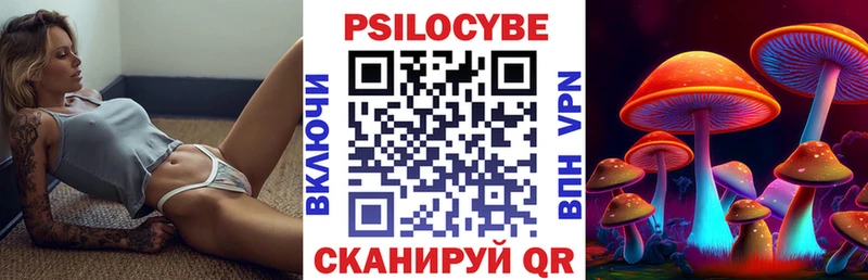 Галлюциногенные грибы Psilocybine cubensis  Бологое 